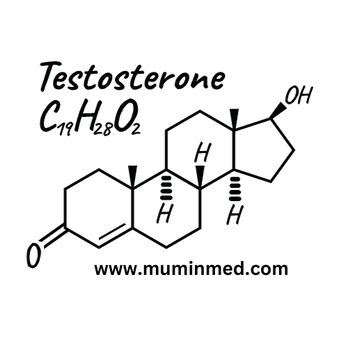 Testosterone and Hormones, men vitality